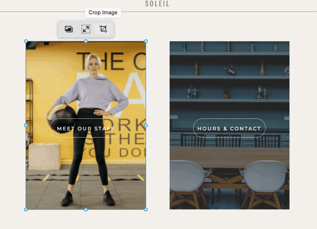 The Ultimate Guide To Showit Updates In 2025