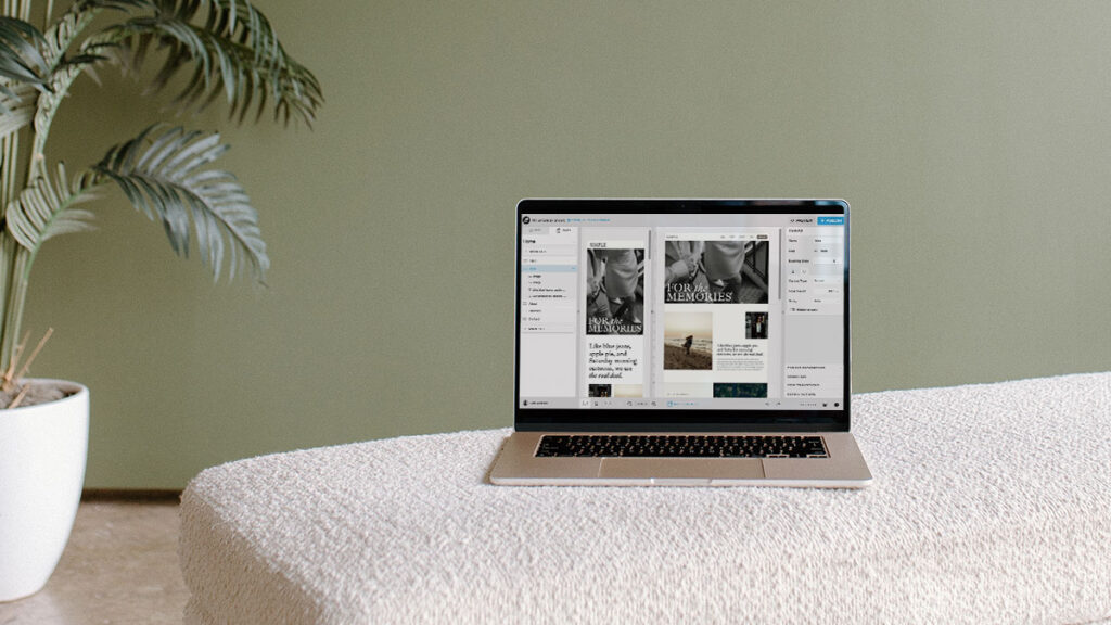 2025 Showit updates and new features including buttons, design tools, and platform improvements
